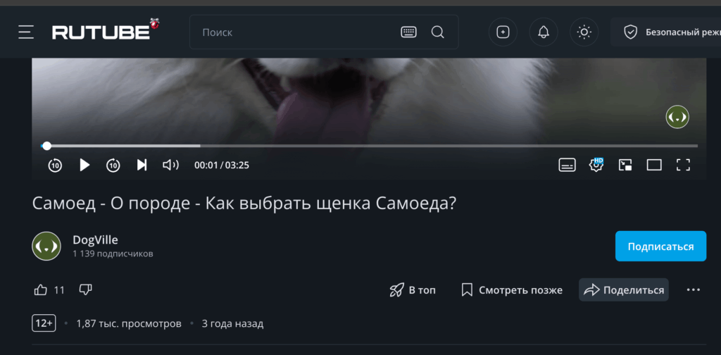 rutube в wordpress